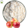 Hot Sale Natural Pure Green Apple Powder